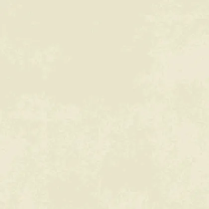 Фото Керамогранит Ennface ENCLR6081MT2020 Corsica Beige Matt 200х200х8 Индия