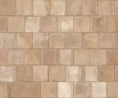 Фото Керамогранит Imola Ceramica TCOT EMI18 20 20x20