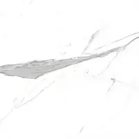 Фото Керамогранит Geotiles Nilo Compacglass Blanco 60x60