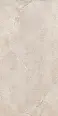 Керамогранит Dado Ceramica DNWS201 New Stone Daino 60x120