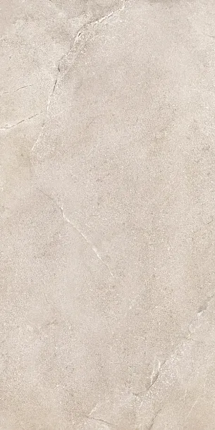Фото Керамогранит Dado Ceramica DNWS201 New Stone Daino 60x120 Италия