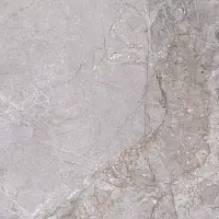 Керамогранит ZERDE TILE Fior Di bosco Grey 60x60 Казахстан Фото Керамогранит ZERDE TILE Fior Di bosco Grey 60x60