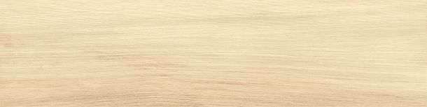 Фото Керамогранит Alder Beige матовый 151x602 (GP1560ALD11) Россия