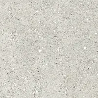 Фото Керамогранит Ceradim Granito Grigio Серый Матовый 59,5Х59,5