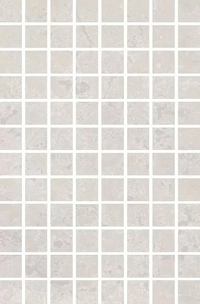 Фото Мозаика MM8351 Ферони мозаичный серый светлый матовый 20x30 Россия