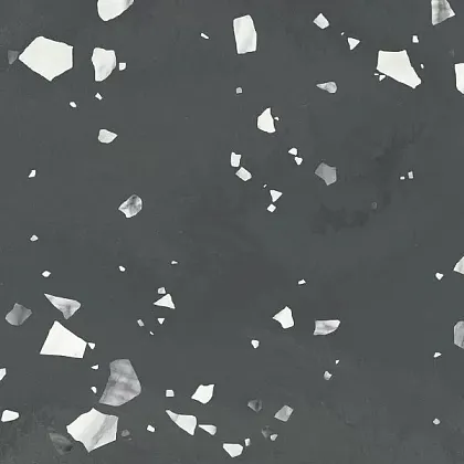 Фото Керамогранит Terratile Nero 60x60 Индия