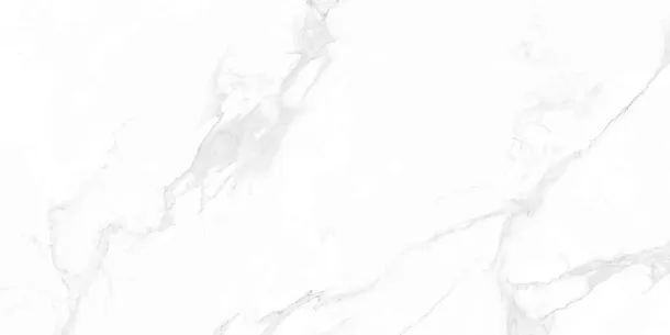 Керамогранит Carrara Anita Mat 60x120 (M4403M) для гостиной, для кухни, для ванной, для туалета, для спальни, для прихожей, на теплый пол Фото Керамогранит Carrara Anita Mat 60x120 (M4403M) Китай