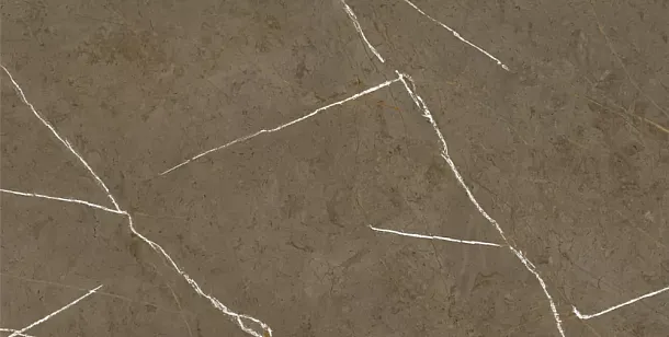 Фото Керамогранит Stone Brown 3D Ink-Soft Glaze 60x120 (BHM-5009) Китай