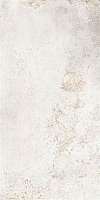 Фото Керамогранит Metropolitan Nichel 61x122,2 (R63MENI NEW)