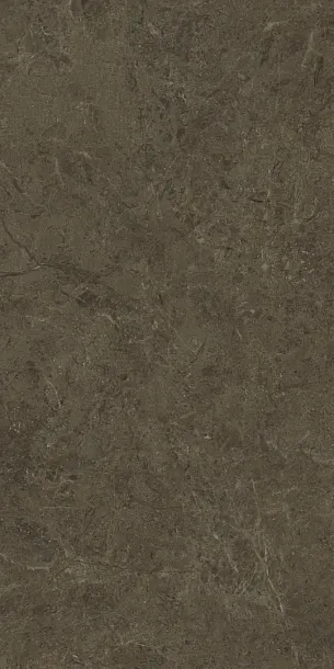 Фото Керамогранит Protiles PT12F7039 Neapol Brown Matt 1200х600х9 Узбекистан