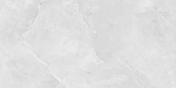 Фото Керамогранит Laparet LP6012G0231R Berna Silver светло-серый матовый 59,5х119,1 Россия