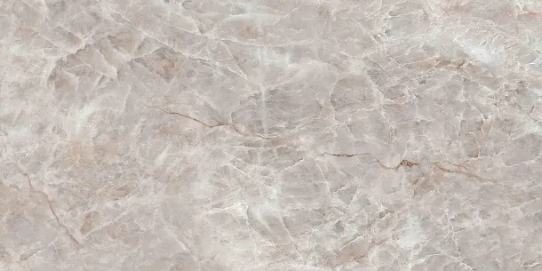 Фото Керамогранит Tubadzin Root grey Mat 119.8x59.8 Польша