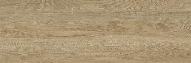 Фото Плитка Woodstyle Oak 300x900x10,5 (WT93WOS21) Беларусь
