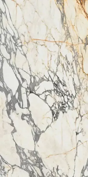 Керамогранит Epoque 21 Arabescato Ant R Lap 60X120 (PF60009341) для гостиной, для кухни, для ванной, для туалета, для прихожей, на теплый пол Фото Керамогранит Epoque 21 Arabescato Ant R Lap 60X120 (PF60009341) Италия