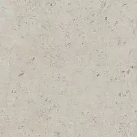 Фото Керамогранит DD641120R Про Лаймстоун бежевый темный натуральный обрезной 60х60