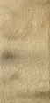 Клинкерная плитка Paradyz Eremite Sand Klinkier Struktura Mat B1a 30x60
