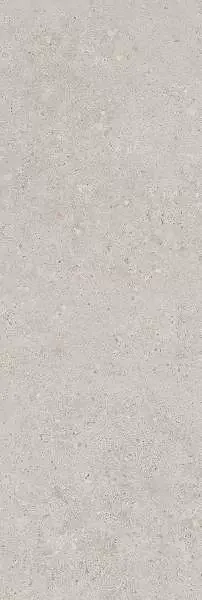 Фото Плитка 14053R Риккарди серый светлый матовый обрезной 40x120 Россия
