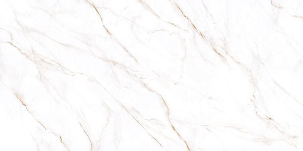 Керамогранит Neo Calacatta матовый 600x1200x8,5 (GFU60120NCL04R) для гостиной, для кухни, для ванной, для туалета, для спальни, для прихожей, на теплый пол Фото Керамогранит Neo Calacatta матовый 600x1200x8,5 (GFU60120NCL04R) Россия