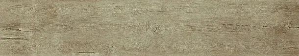 Фото Керамогранит Dune 189006 Quercus Antico 22x120 Испания