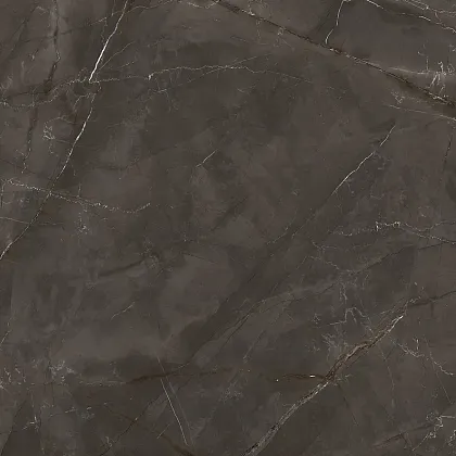 Фото Керамогранит Laparet Lp6060G0061R Timeless Marrone Коричневый Матовый Карвинг 59,5Х59,5 Россия