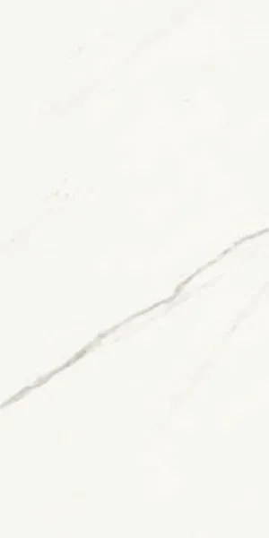 Фото Керамогранит La Faenza AE EXT6 12 RM 60x120 Италия