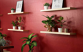 Коллекция Mood Apavisa