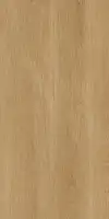 Фото Керамогранит Protiles PT12F7041 Albero Beige Matt 1200х600х9