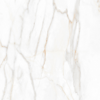 Фото Керамогранит Supreme Gold SM02 неполированный 60x60 Россия