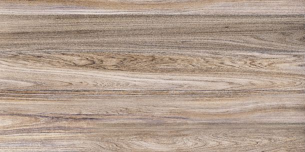 Фото Плитка Dublin 249x500 (TWU09DBL404) Россия