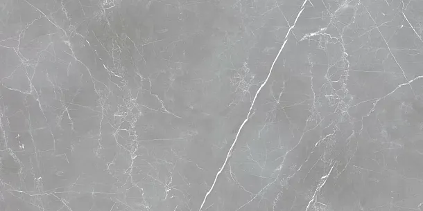 Фото Керамогранит Arion Gray Dark 20mm 59.7x119.7 (IRN000030) Индия