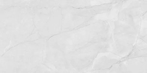 Фото Керамогранит Laparet LP6012G0231R Berna Silver светло-серый матовый 59,5х119,1 Россия