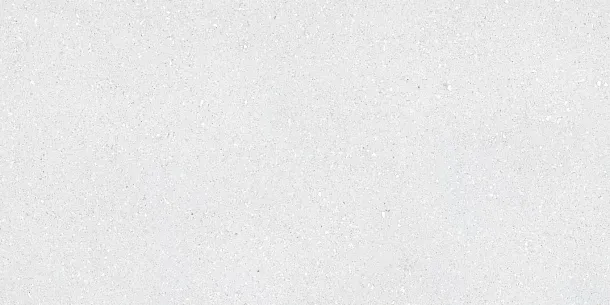 Фото Керамогранит Tau Ceramica Sassy White Rec 60x120 Испания