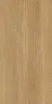 Керамогранит Protiles PT12F7041 Albero Beige Matt 1200х600х9