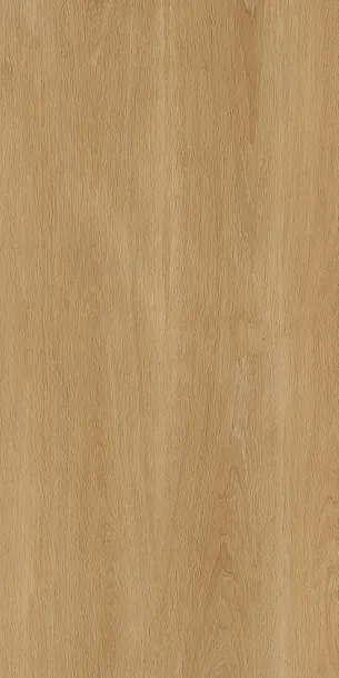 Фото Керамогранит Protiles PT12F7041 Albero Beige Matt 1200х600х9 Узбекистан
