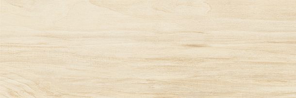 Фото Плитка Sanders Maple 200x600 (WT11SND08) Россия