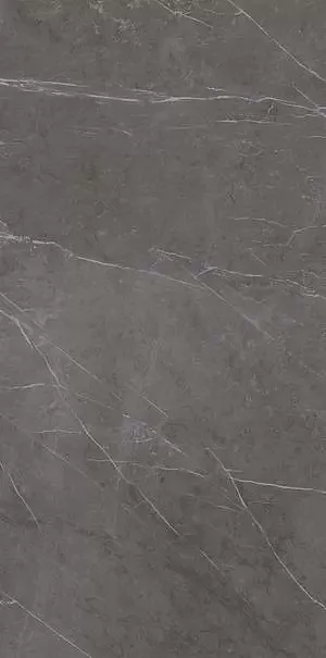 Фото Керамогранит Ariostea PL612528 Grey Marble Luc 120x60 Италия