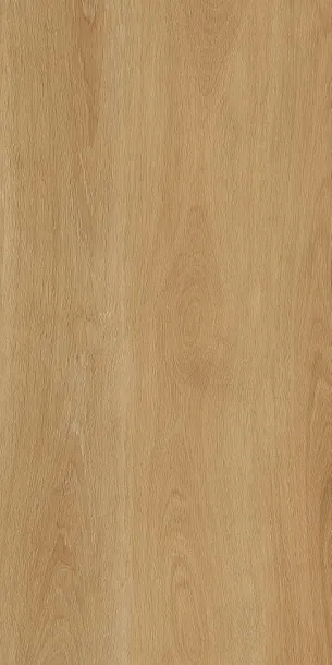 Фото Керамогранит Protiles PT12F7041 Albero Beige Matt 1200х600х9 Узбекистан
