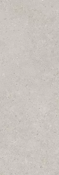 Фото Плитка 14053R Риккарди серый светлый матовый обрезной 40x120 Россия