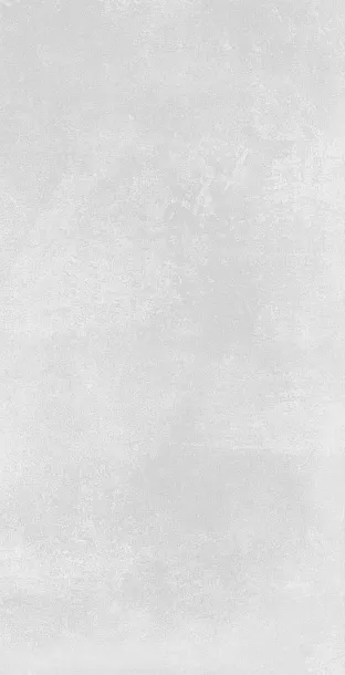 Фото Керамогранит Azulev Organic Grey RC 60x120 Испания
