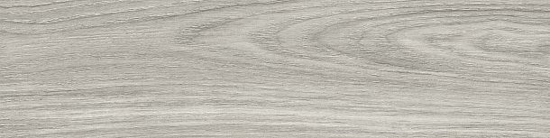 Фото Керамогранит Aspen Graphite sugar-эффект 151x602 (GP1560ASP25) Россия