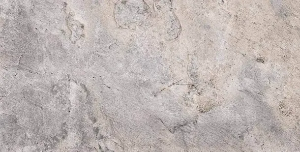 Фото Керамогранит Prissmacer Nordic Slate Pearl 60x120 Испания