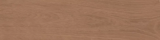 Фото Керамогранит Kerama Marazzi Аргания коричневый матовый 9,9x40,2x0,8 (KM1040G0031N) Россия