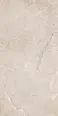 Керамогранит Dado Ceramica DNWS201 New Stone Daino 60x120