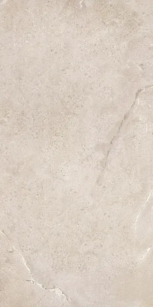 Фото Керамогранит Dado Ceramica DNWS201 New Stone Daino 60x120 Италия