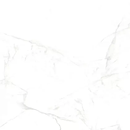 Фото Керамогранит Callacata Carving 60x60 (NTT996070M) Индия