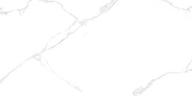 Плитка Elemento Bianco Carrara 250x500x9 (WT9ELT00) Фото Плитка Elemento Bianco Carrara 250x500x9 (WT9ELT00)