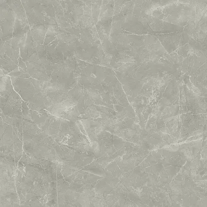 Фото Керамогранит Wolf Grey Сатинированный 80х80 Россия