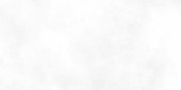 Фото Плитка WT9KON00 Konor White 249*500*7.5 Россия