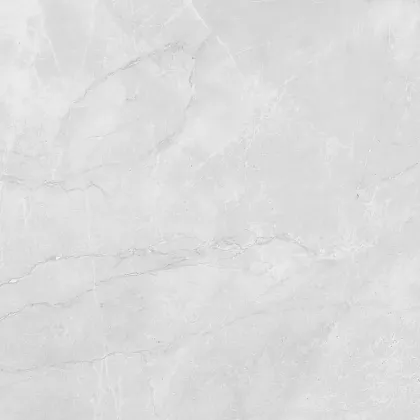 Фото Керамогранит Laparet LP6060G0241R Berna Silver светло-серый матовый 59,5х59,5 Россия