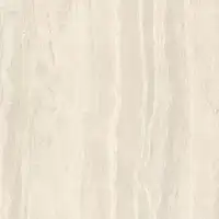 Фото Керамогранит Imola Ceramica TRARGE6 120 RM 120x120